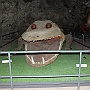 Bild (45)